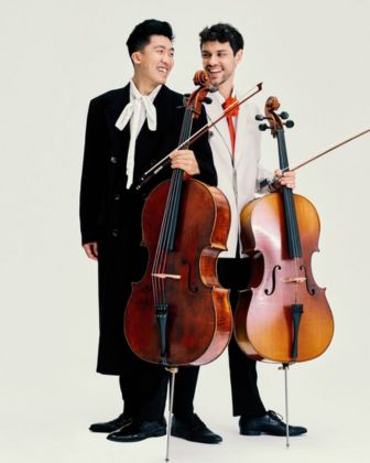 Cello Fellos